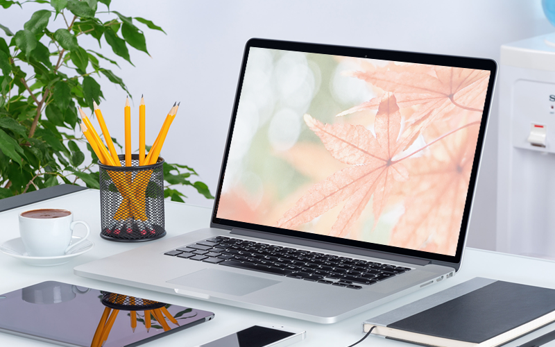 電腦重裝win7但沒有網(wǎng)絡(luò),無(wú)網(wǎng)重裝系統(tǒng)步驟win7